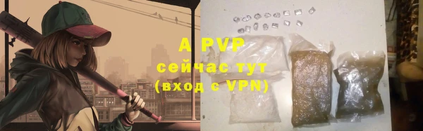 стафф Абинск