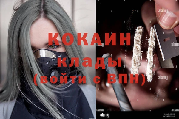 стафф Абинск
