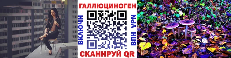 Псилоцибиновые грибы мицелий Калининград
