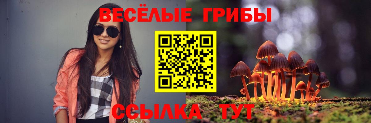 Калининград  Галлюциногенные грибы мухоморы  Вход с VPN 