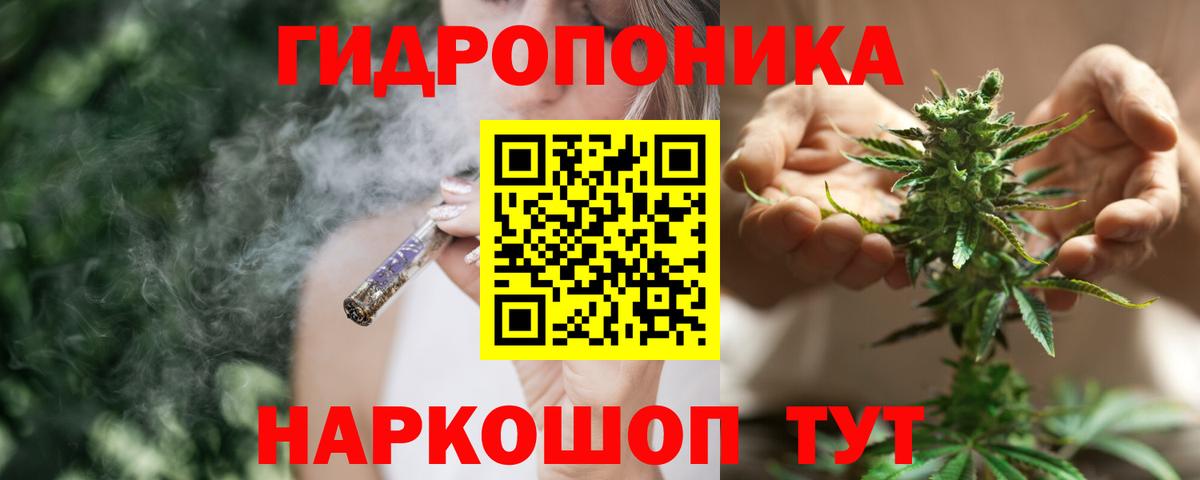 Бошки марихуана MAZAR  Каннабис индика  Канабис VHQ  Калининград  Вход с VPN 